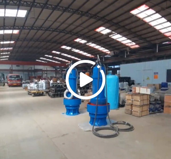 潛水(shuǐ)軸流泵(beng)